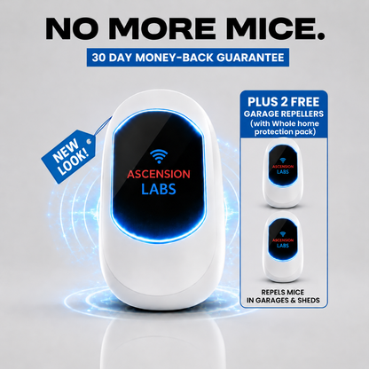 Rodent Zero Radar (Copy)